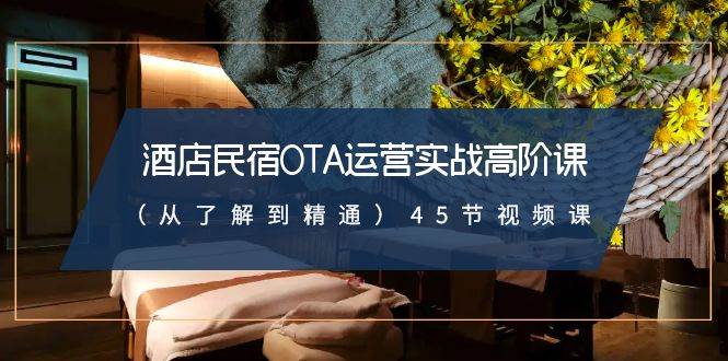 酒店民宿-OTA运营实战高阶课（从了解到精通）45节视频课-领航创业网
