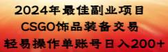 2024年最佳副业项目 CSGO饰品装备交易 轻易操作单账号日入200+-领航创业网