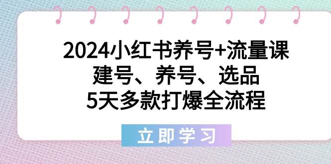 2024小红书养号+流量课：建号、养号、选品，5天多款打爆全流程-领航创业网