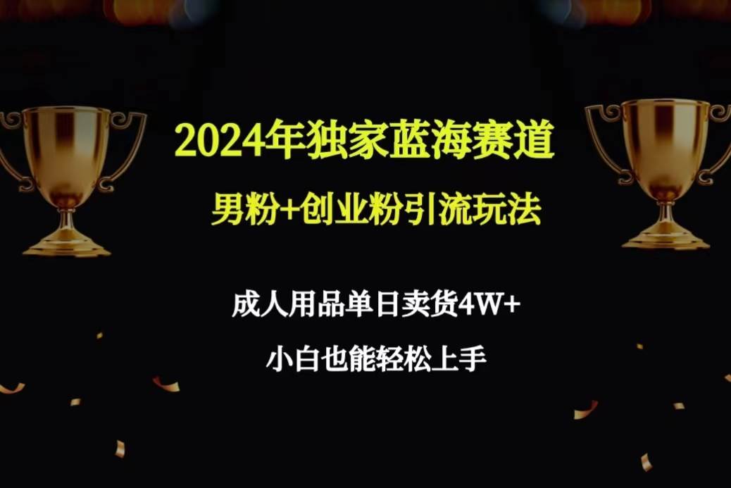 2024年独家蓝海赛道男粉+创业粉引流玩法，成人用品单日卖货4W+保姆教程-领航创业网