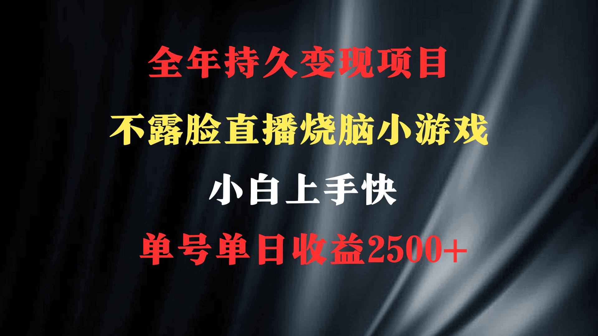 2024年 最优项目，烧脑小游戏不露脸直播  小白上手快 无门槛 一天收益2500+-领航创业网