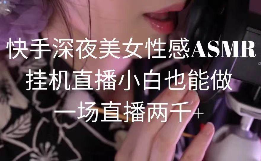 快手深夜美女性感ASMR挂机直播，小白也能做，一场直播两千+-领航创业网