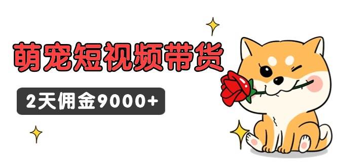 东哲日记·萌宠短视频带货，2天佣金9000+-领航创业网