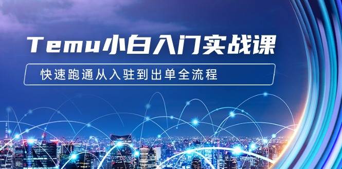 Temu小白入门实战课：跨境拼多多电商培训 快速跑通从入驻到出单全流程-12节-领航创业网