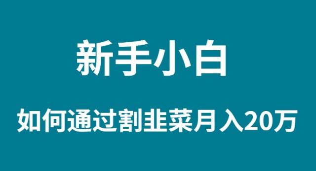 新手小白如何通过割韭菜月入 20W-领航创业网