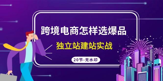 跨境电商怎样选爆品，独立站建站实战（20节高清无水印课）-领航创业网