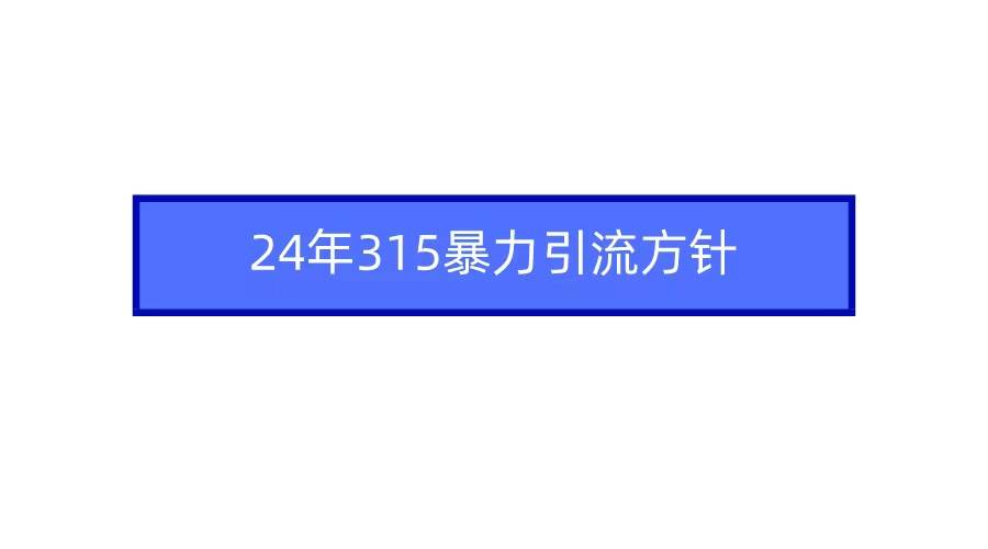 2024年315暴力引流方针-领航创业网