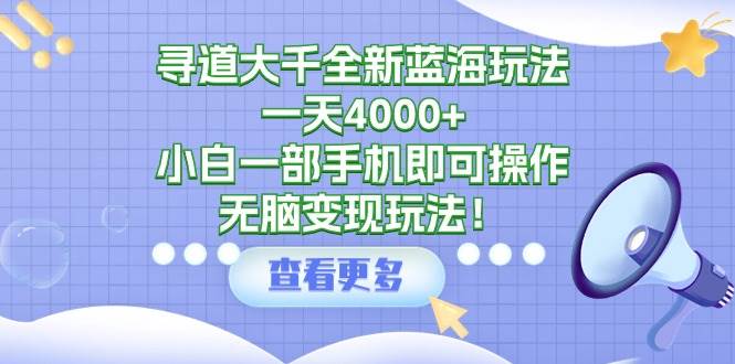 寻道大千全新蓝海玩法，一天4000+，小白一部手机即可操作，无脑变现玩法！-领航创业网