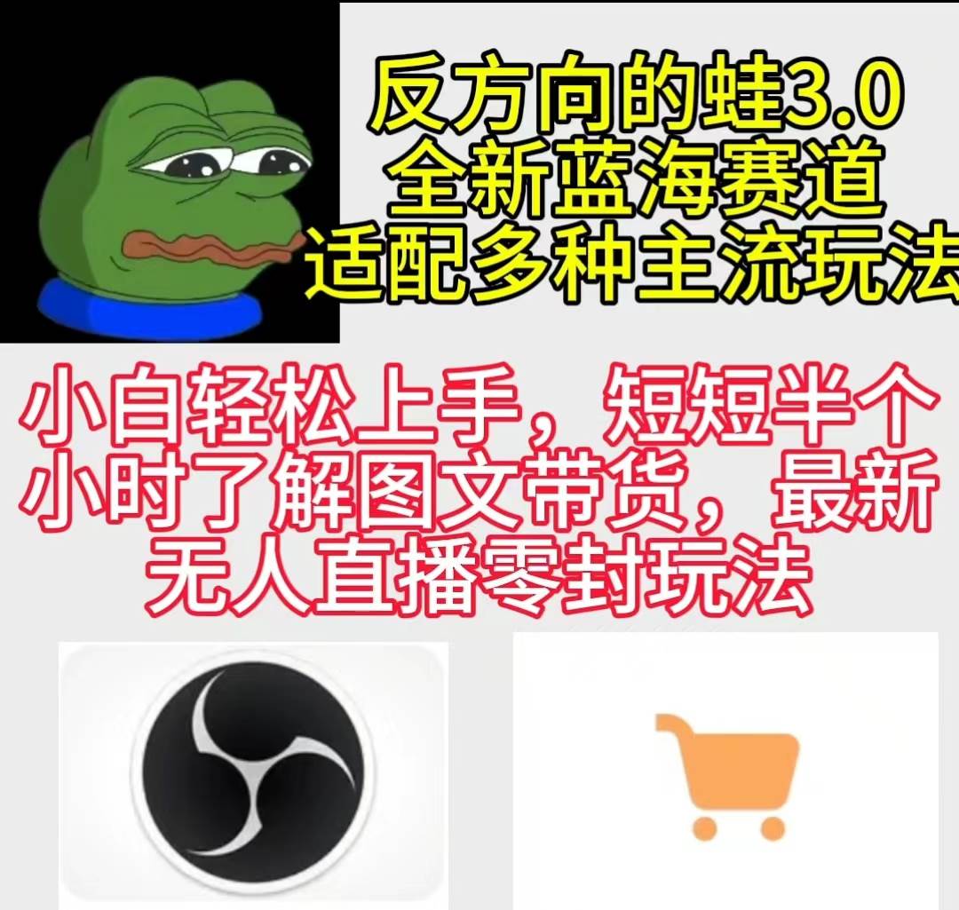 反方向的蛙3.0，图文最新玩法，变现多元化，新蓝海项目，小白轻松上手-领航创业网