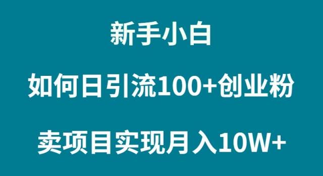 新手小白如何通过卖项目实现月入10W+-领航创业网