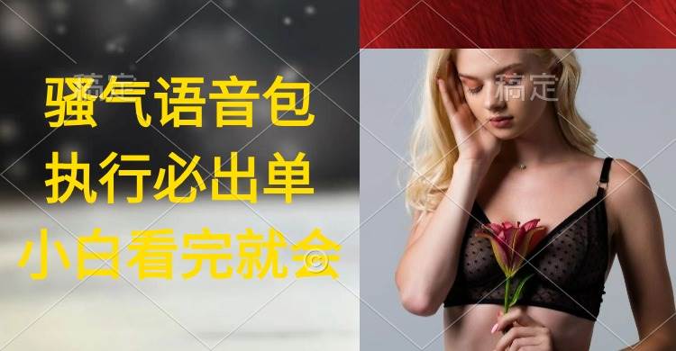 执行就出单，日入2000+，超火骚气语音包，小白看完课程就能马上实操-领航创业网