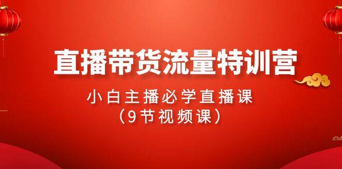 2024直播带货流量特训营，小白主播必学直播课（9节视频课）-领航创业网