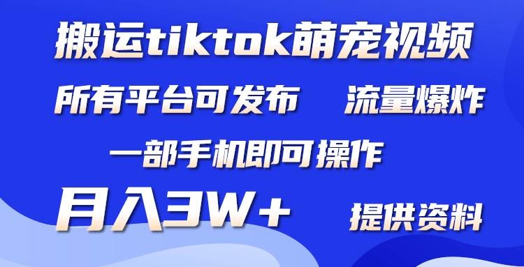 搬运Tiktok萌宠类视频，一部手机即可。所有短视频平台均可操作，月入3W+-领航创业网