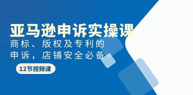 亚马逊-申诉实战课，商标、版权及专利的申诉，店铺安全必备-领航创业网
