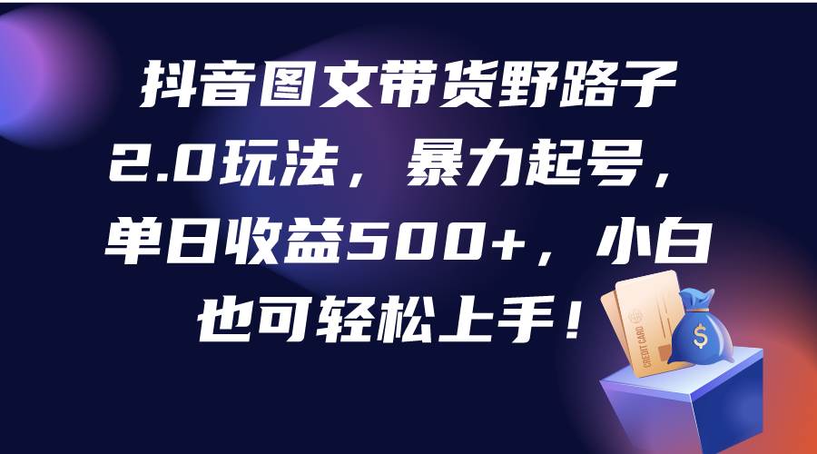 抖音图文带货野路子2.0玩法，暴力起号，单日收益500+，小白也可轻松上手！-领航创业网