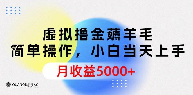 虚拟撸金薅羊毛，简单操作，小白当天上手，月收益5000+-领航创业网