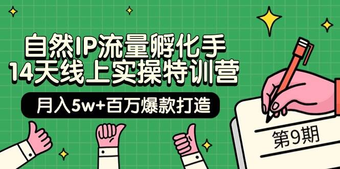 自然IP流量孵化手 14天线上实操特训营【第9期】月入5w+百万爆款打造 (74节)-领航创业网