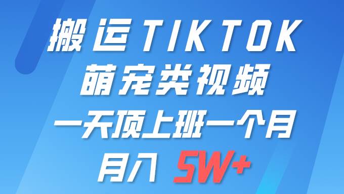 一键搬运TIKTOK萌宠类视频 一部手机即可操作 所有平台均可发布 轻松月入5W+-领航创业网