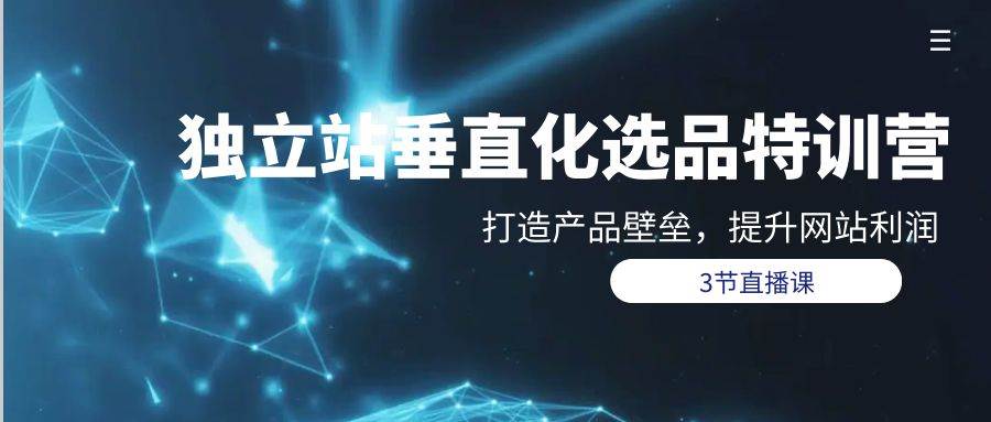 独立站-垂直化选品训练营，打造产品壁垒，提升网站利润（3节直播课）-领航创业网