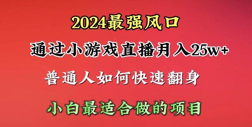 2024年最强风口，通过小游戏直播月入25w+单日收益5000+小白最适合做的项目-领航创业网