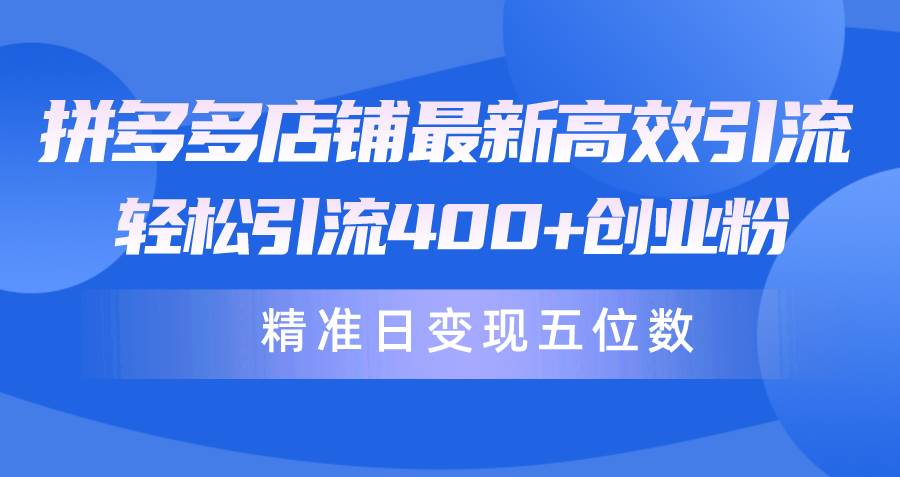 拼多多店铺最新高效引流术，轻松引流400+创业粉，精准日变现五位数！-领航创业网
