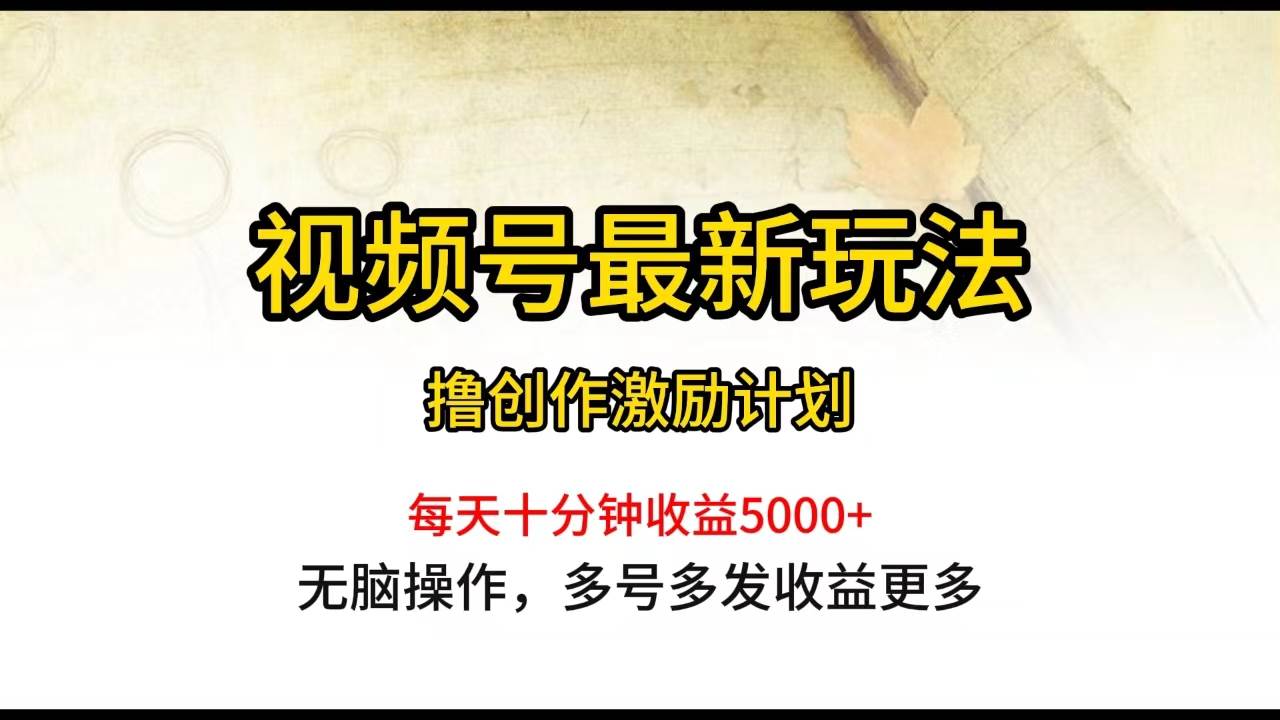 视频号最新玩法，每日一小时月入5000+-领航创业网