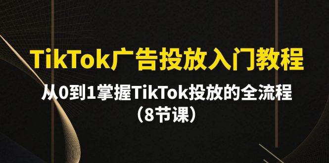 TikTok广告投放入门教程，从0到1掌握TikTok投放的全流程（8节课）-领航创业网