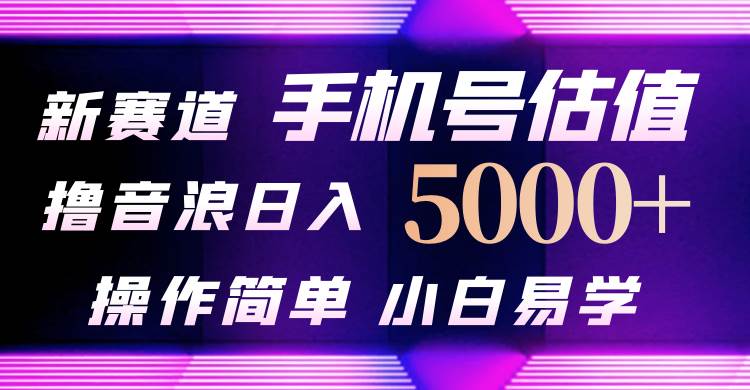 抖音不出境直播【手机号估值】最新撸音浪，日入5000+，简单易学，适合…-领航创业网