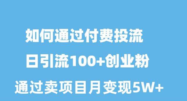 如何通过付费投流日引流100+创业粉月变现5W+-领航创业网