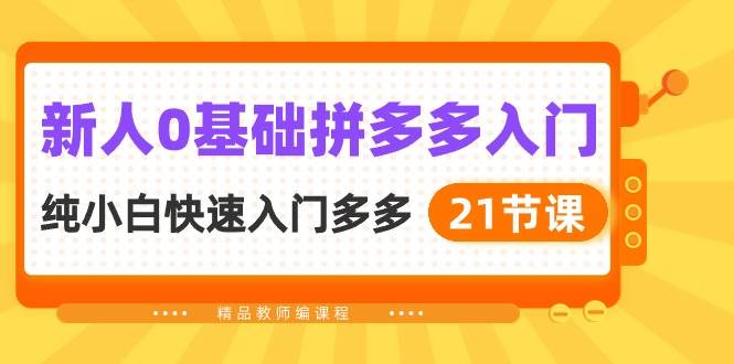 新人0基础拼多多入门，纯小白快速入门多多（21节课）-领航创业网