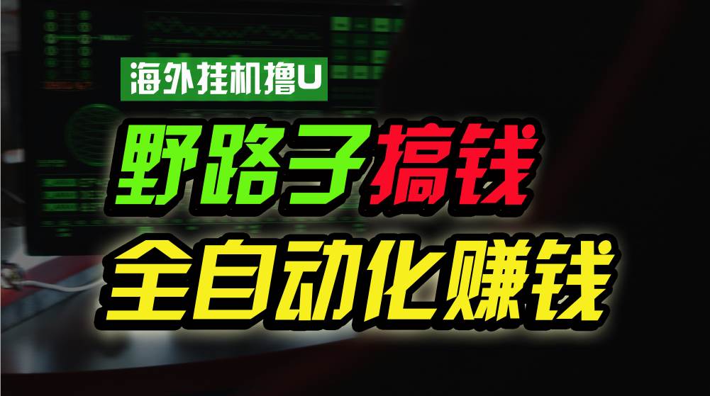 海外挂机撸U新平台，日赚8-15美元，全程无人值守，可批量放大，工作室内…-领航创业网