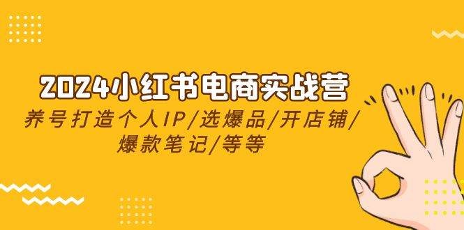 2024小红书电商实战营，养号打造IP/选爆品/开店铺/爆款笔记/等等（24节）-领航创业网