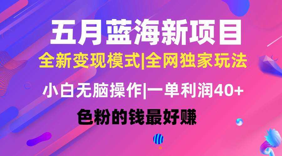 五月蓝海项目全新玩法，小白无脑操作，一天几分钟，矩阵操作，月入4万+-领航创业网