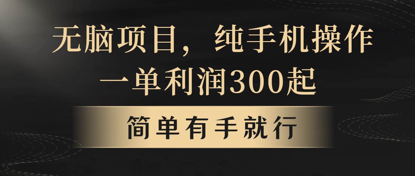 无脑项目，一单几百块，轻松月入5w+，看完就能直接操作-领航创业网