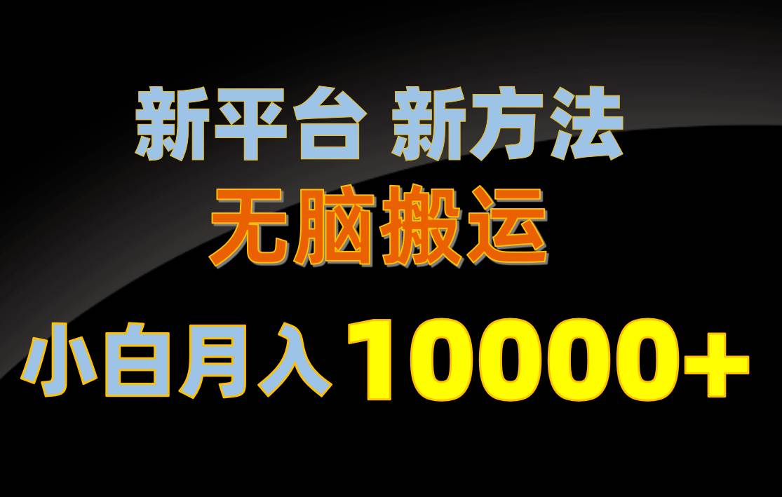 新平台新方法，无脑搬运，月赚10000+，小白轻松上手不动脑-领航创业网