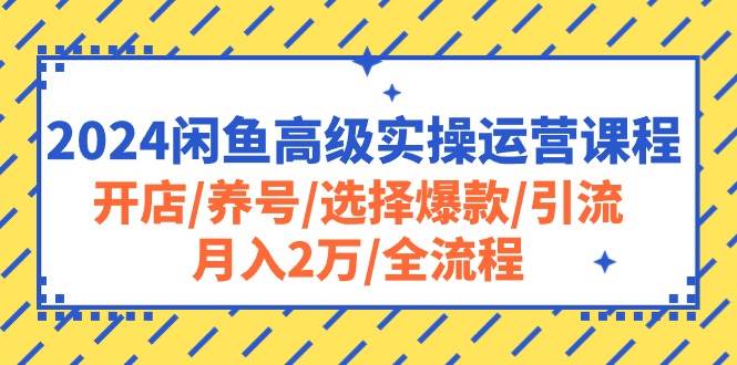 2024闲鱼高级实操运营课程：开店/养号/选择爆款/引流/月入2万/全流程-领航创业网