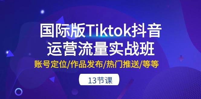 国际版Tiktok抖音运营流量实战班：账号定位/作品发布/热门推送/等等-13节-领航创业网