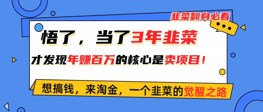 悟了，当了3年韭菜，才发现网赚圈年赚100万的核心是卖项目，含泪分享！-领航创业网