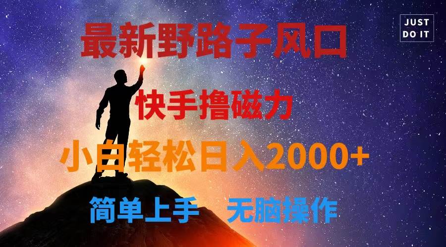 最新风口！快手撸磁力，野路子，小白无脑操作日入2000+-领航创业网