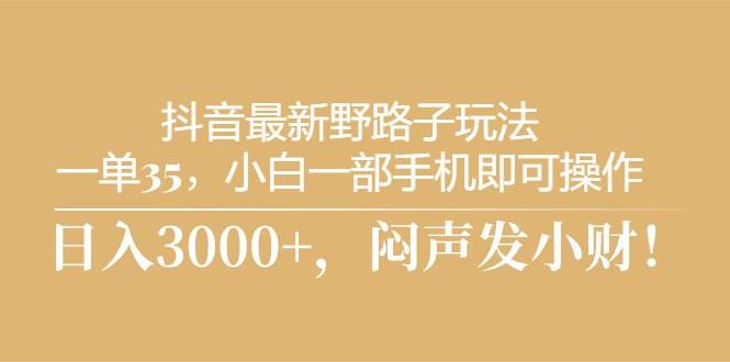 抖音最新野路子玩法，一单35，小白一部手机即可操作，，日入3000+，闷…-领航创业网