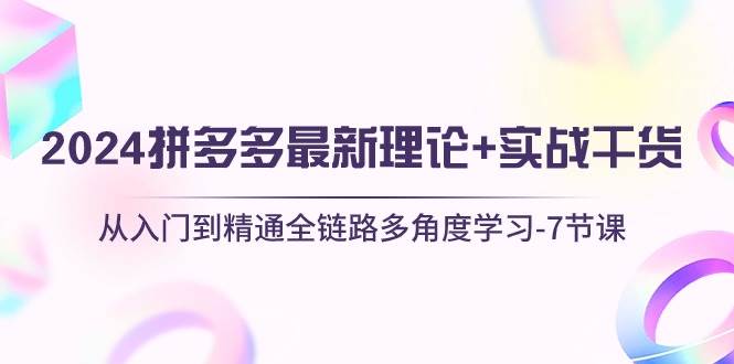 2024拼多多 最新理论+实战干货，从入门到精通全链路多角度学习-7节课-领航创业网