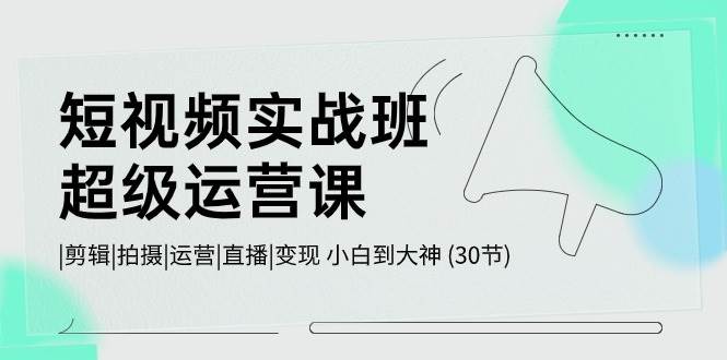 短视频实战班-超级运营课，|剪辑|拍摄|运营|直播|变现 小白到大神 (30节)-领航创业网