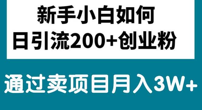 新手小白日引流200+创业粉,通过卖项目月入3W+-领航创业网