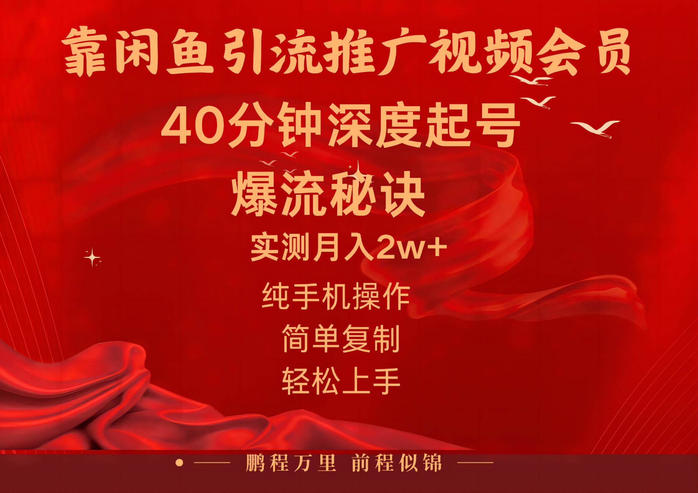 闲鱼暴力引流推广视频会员，能做到日入2W+，操作简单-领航创业网