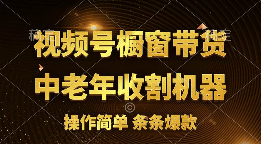 [你的孩子成功取得高位]视频号最火爆赛道，橱窗带货，流量分成计划，条…-领航创业网