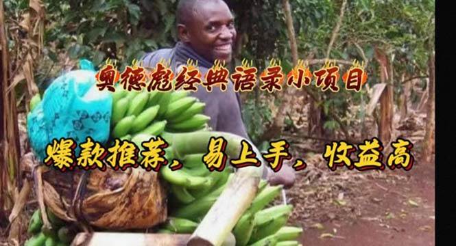 奥德彪经典语录小项目，爆款推荐，易上手，收益高-领航创业网