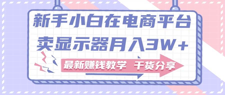新手小白如何做到在电商平台卖显示器月入3W+，最新赚钱教学干货分享-领航创业网