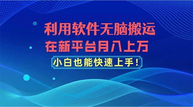 利用软件无脑搬运，在新平台月入上万，小白也能快速上手-领航创业网