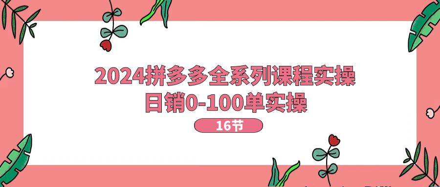 2024拼多多全系列课程实操，日销0-100单实操【16节课】-领航创业网