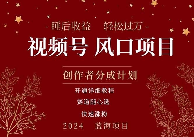 拥有睡眠收益的微信视频号大风口项目，轻松月入过万+，多赛道选择，可…-领航创业网